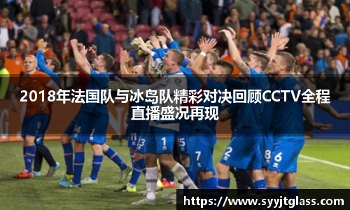 2018年法国队与冰岛队精彩对决回顾CCTV全程直播盛况再现